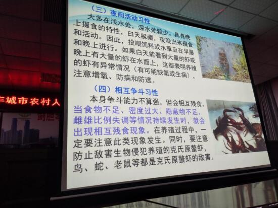 QQ截图20190527151608.jpg