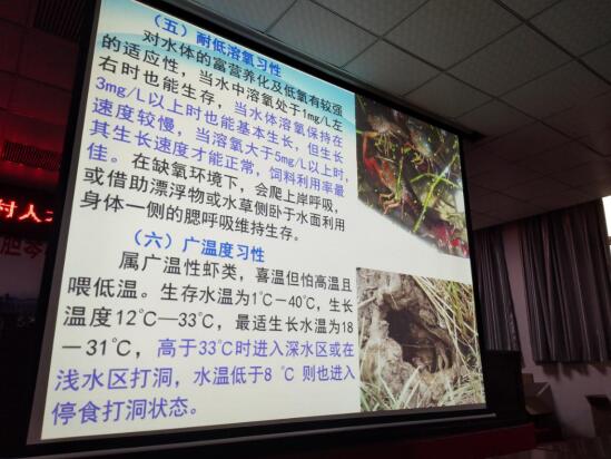 QQ截图20190527151617.jpg